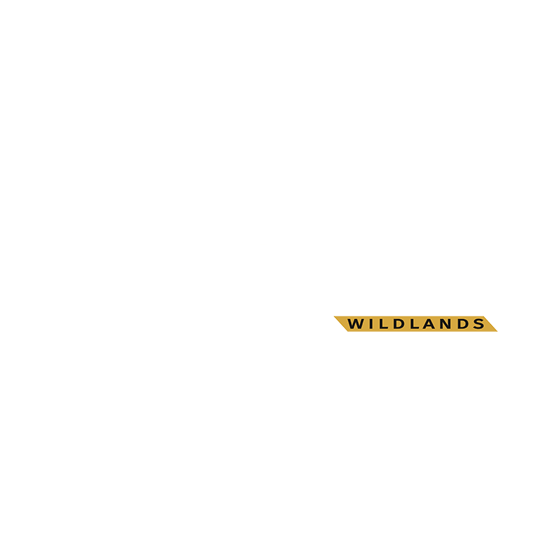 Ghost Recon Wildlands